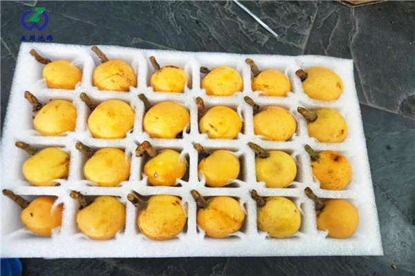 枇杷托是用哪種包裝材料？