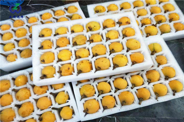 定做枇杷托的材料是環(huán)保的嗎？